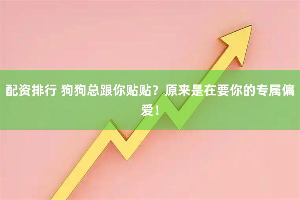 配资排行 狗狗总跟你贴贴？原来是在要你的专属偏爱！