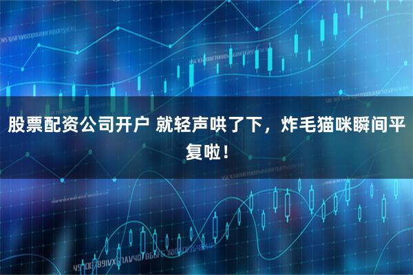 股票配资公司开户 就轻声哄了下,炸毛猫咪瞬间平复啦!